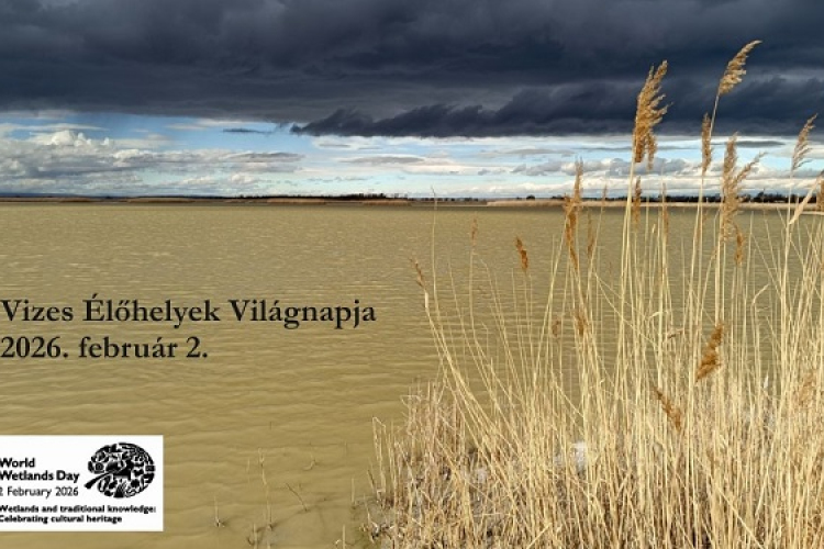 Vizes élőhelyek világnapja