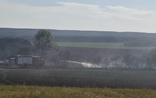 Hatalmas természeti értékeket mentettek meg a tűz elől