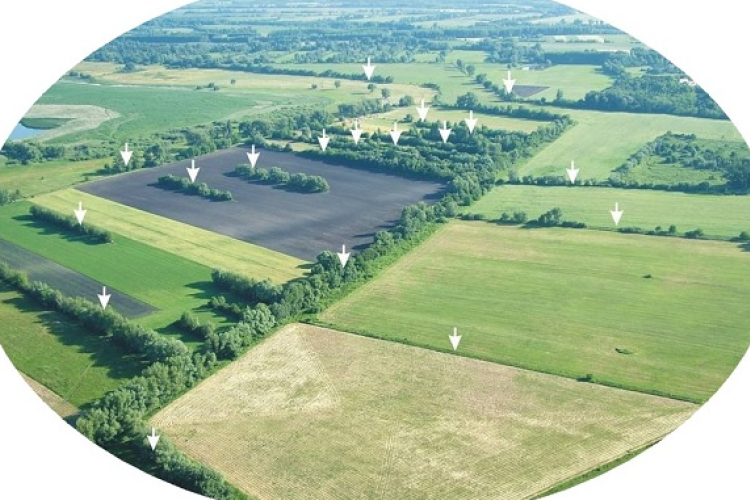 Régészeti előadás az Árpád-kori csatornarendszerekről