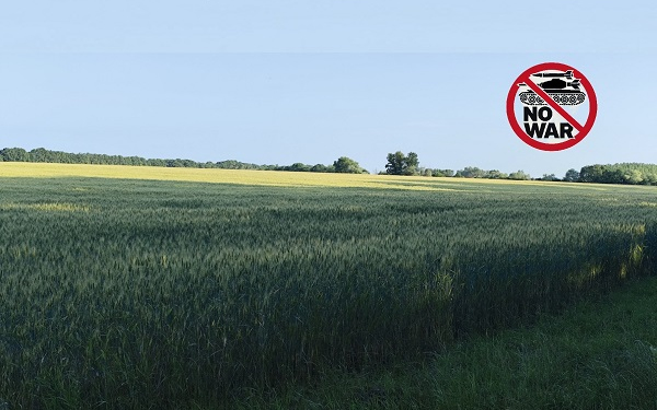 Háborús félelemkeltés helyett nyugalmat és munkát