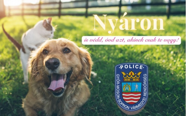 Nyáron is védd!