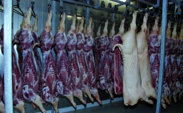 Oroszország várhatóan március közepén oldja fel a magyar sertéshús importtilalmát