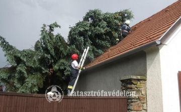 A viharos időjárás sok munkát adott a tűzoltóknak