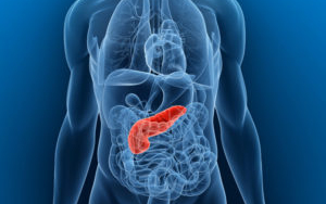 Megbízható mintaszállítás