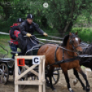 Fogathajtó verseny Bágyogszováton