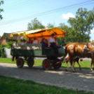 Lovastalálkozó Győrsövényházon