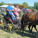 VII. Győrsövényházi Lovas Találkozó 