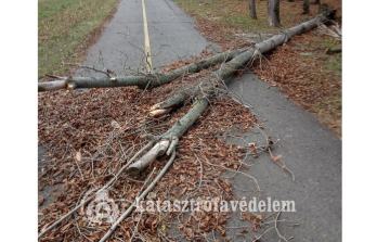 A viharos szél miatt több tűzoltói beavatkozásra is szükség volt