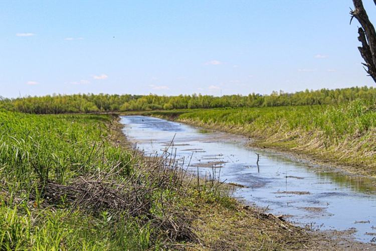 Bárki segíthet feltérképezni kiszáradó vizeinket 