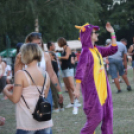 Veréb fesztivál harmadik nap, első galéria