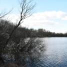 A Szanyi Horgásztó