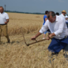 Hagyományos aratófesztivál Szilban