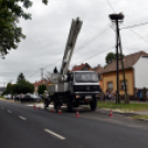 A megszületett kis gólyák látványgyűrűzése Szanyban. 