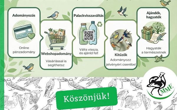 Te is tehetsz a madarakért – akár ma!