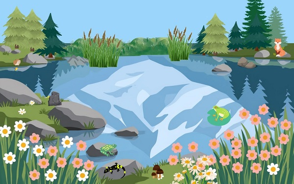 A vizes élőhelyek világa