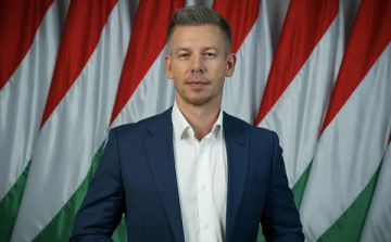 Magyar Péter Kapuváron