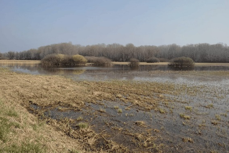 Tavaszi túrák a Fertő-Hanság Nemzeti Parkban