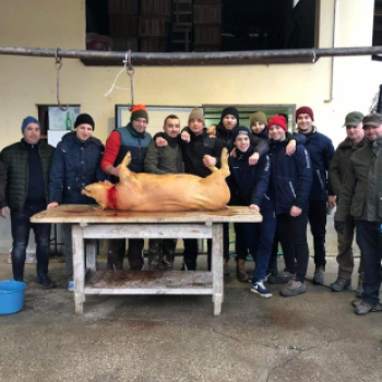 Sertést vágtak a Szany SE. labdarúgói.