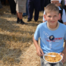 Hagyományos aratófesztivál Szilban