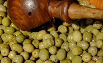 Bioetanol üzemanyagot készítettek olíva-hulladékból izraeli kutatók