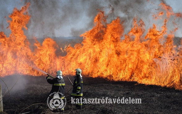 Tűzgyújtási tilalmat rendeltek el Győr-Moson-Sopron megyében is