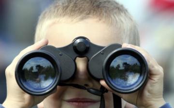 Több mint tízezren figyelték a madarakat