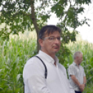 Búcsú Szanyban a Szent Anna kápolnánál.