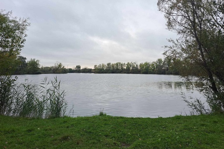 Európai Madármegfigyelő Napok a Kisalföldön