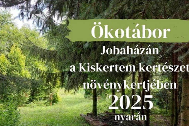 Nyári ökotáborok Jobaházán
