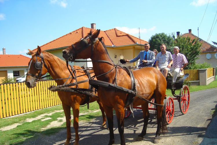 Lovastalálkozó Győrsövényházon