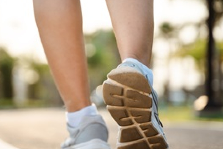 Fussunk együtt az új úton