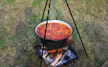 Sárkány-pörkölt főzőverseny