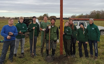 Bagolyládákat helyeztek ki a Tóközben