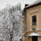 Szanyban sem ette meg a kutya a telet