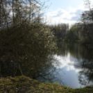 A Szanyi Horgásztó