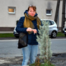 Adventi gyertyagyújtás Szanyban.