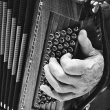 Jótékonysági harmonika koncert Farádon