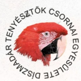 XXIV. Díszmadár kiállítás
