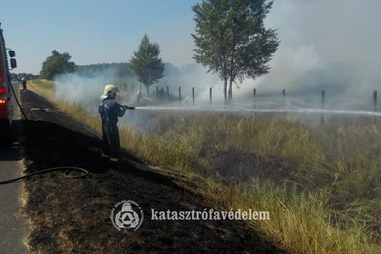 Tarlótüzek, balesetek, viharkárok tették próbára a múlt héten a megye tűzoltóit