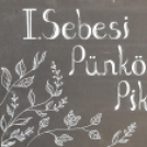 Pünkösdi piknik Rábasebesen. (2026. 05. 23.)