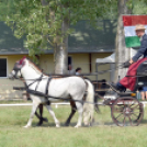 Árpási Fogathajtó Verseny