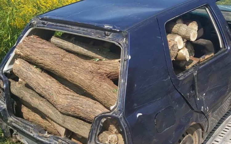 Átalakított autóval lopták a fát