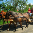 Lovastalálkozó Győrsövényházon