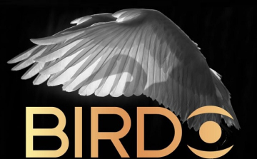 Birdo - Az év madárfotósa pályázat