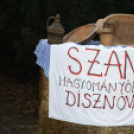 II. Falusi disznóvágás Szanyban.