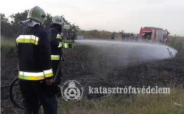 Egyre több a szabadtéri tűz