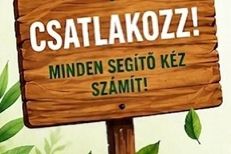 Társadalmi munka Barbacson