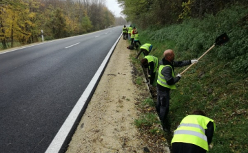 Önkéntesek tisztították meg a nemzeti park békaátjáróit