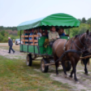 Győr-Moson-Sopron Megyei Vadásznap Göbös-majorban