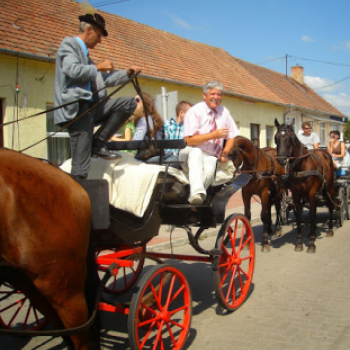 Lovastalálkozó Győrsövényházon